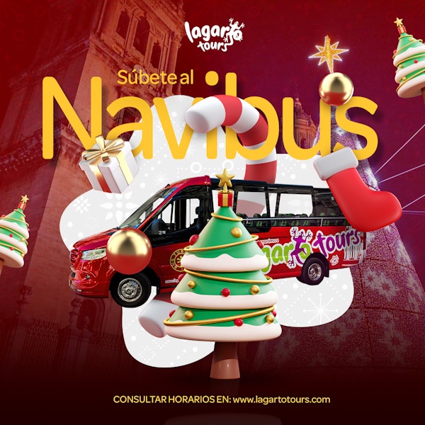 Navibus: un paseo por las luces de Navidad - Lagarto Tours